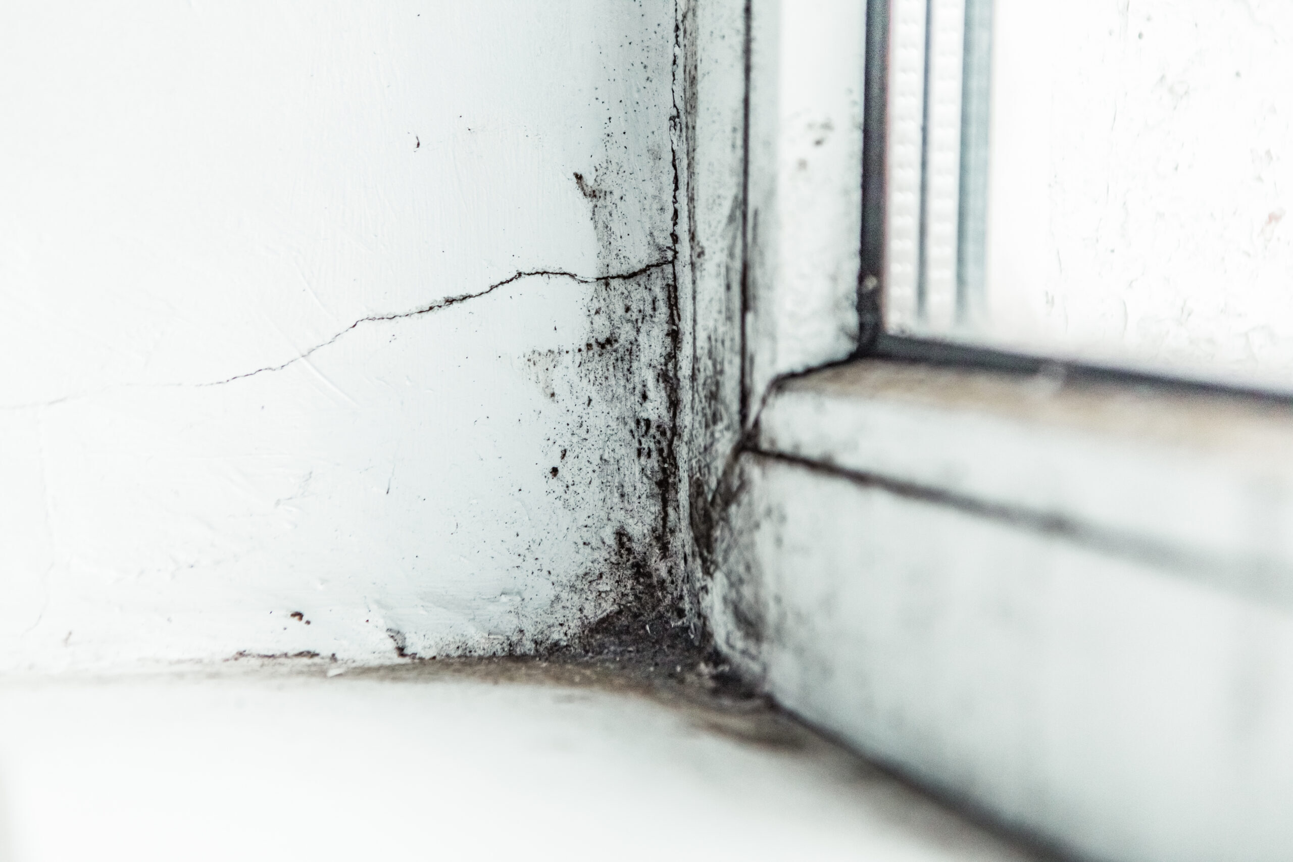 close-up-white-wall-plastic-window-with-black-dangerous-black-mold-corner-room